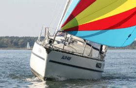 2009_Bajo_Moh Spinn.jpg